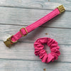 Conjunto Super Pink para perros y gatos Colet+Collar