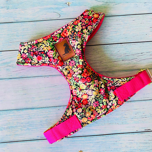 Pechera Night Flower arnes para perros y gatos