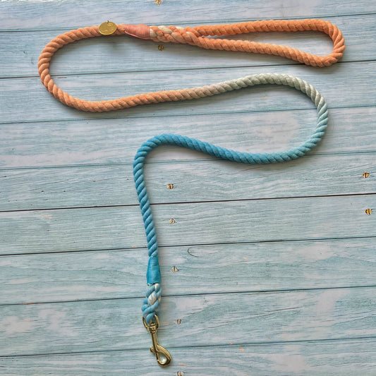 Correa Orange Blue para perro de cuerda