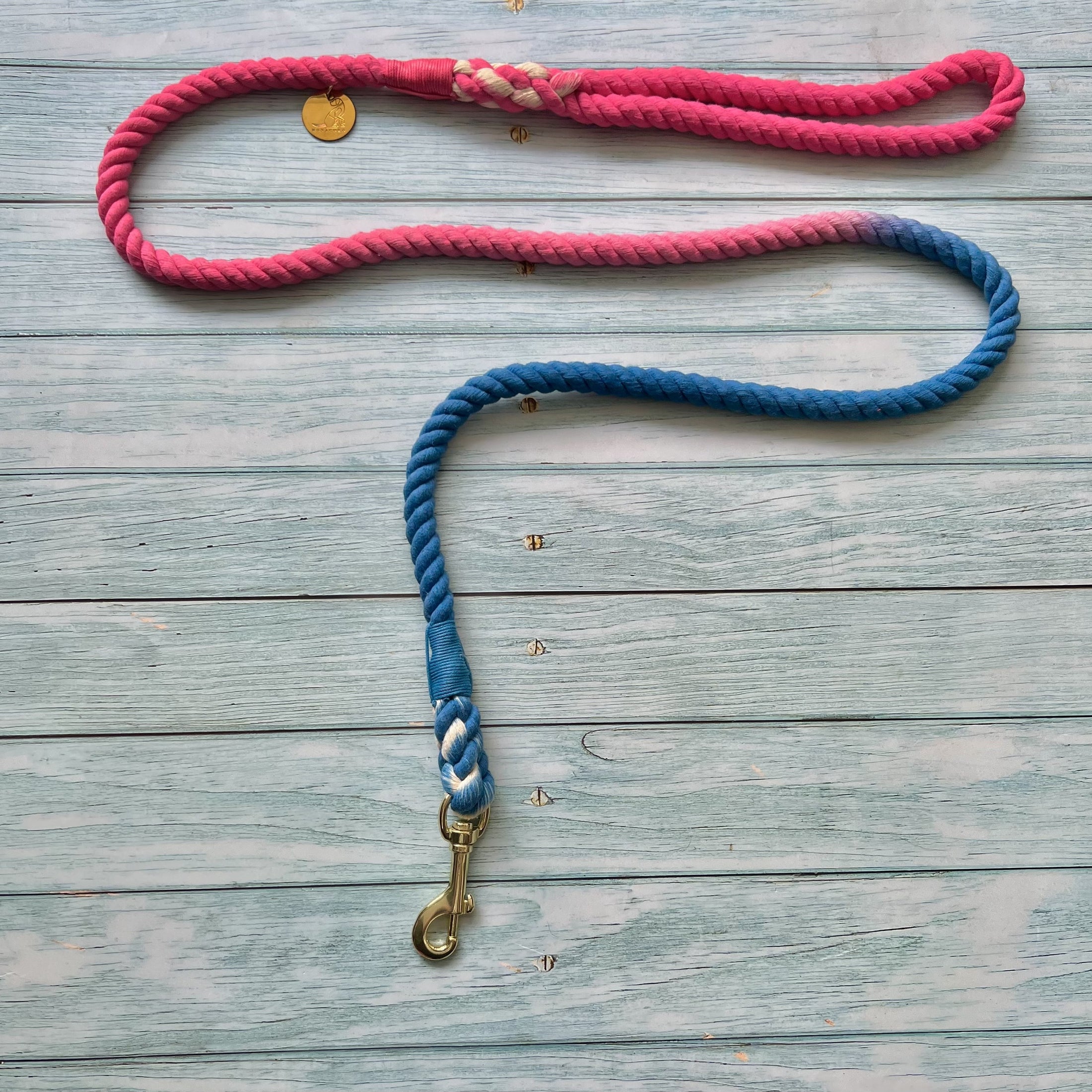 Correa Blue Pink para perro de cuerda