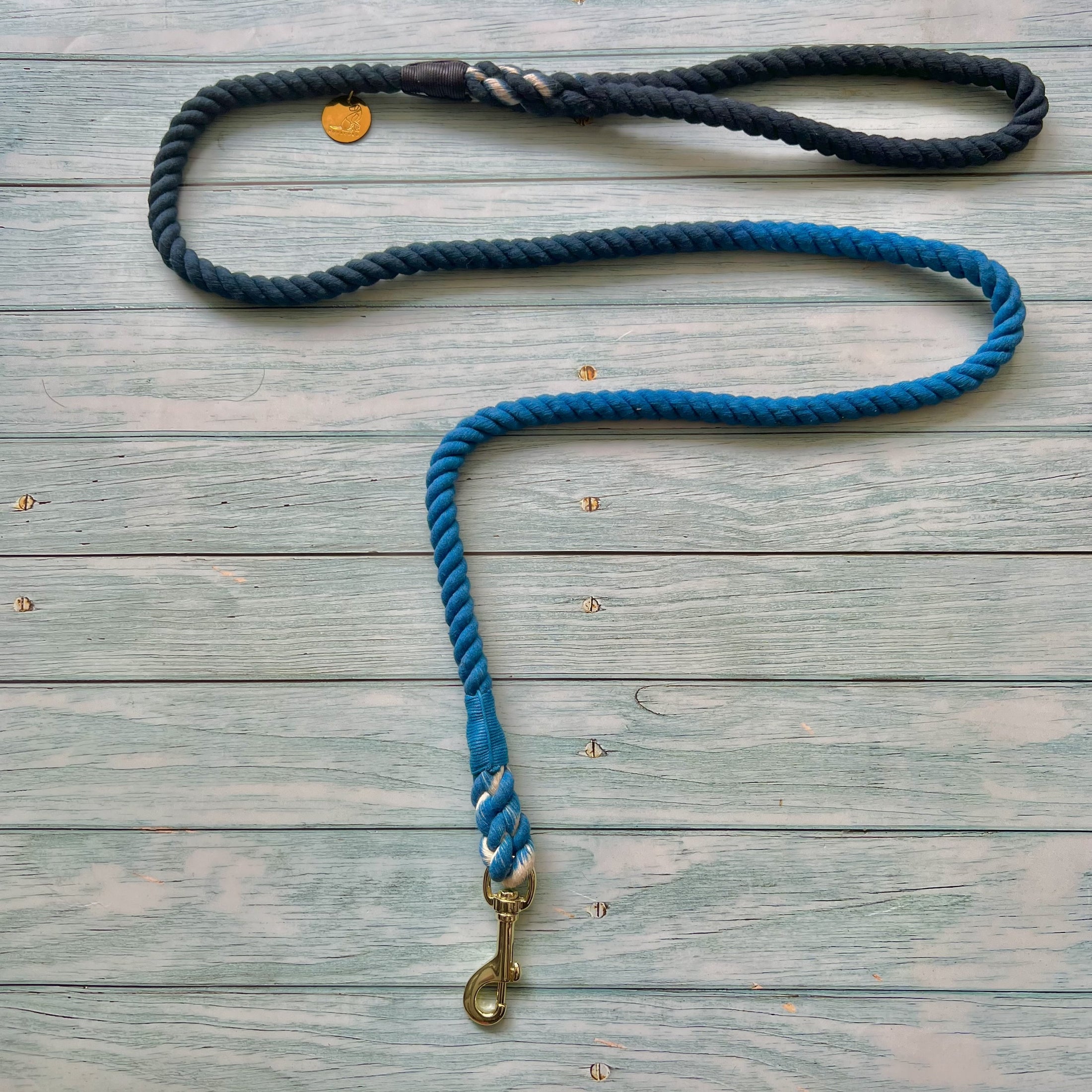 Correa Super Blue para perro de cuerda