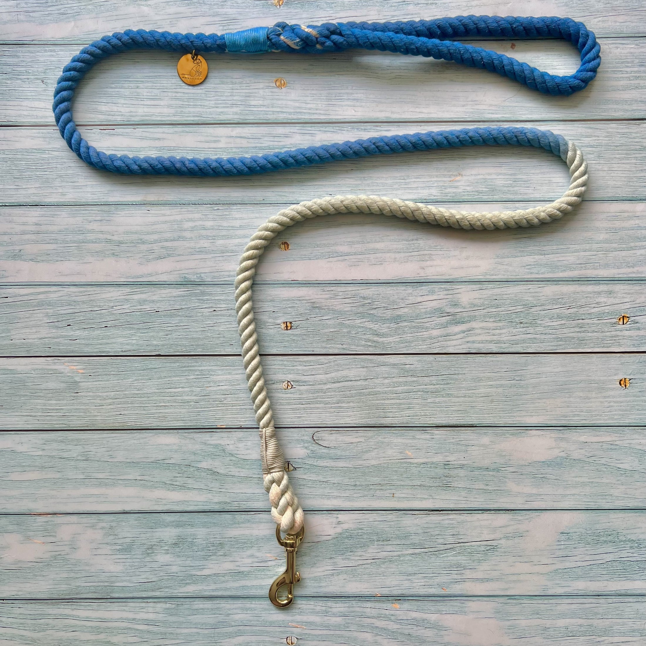 Correa Azul Degrade para perro de cuerda