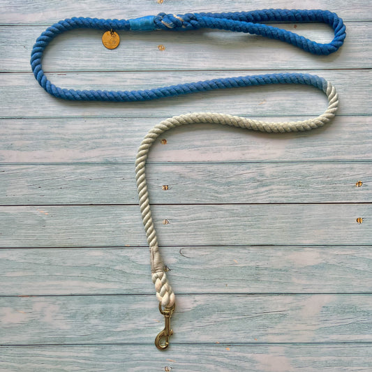 Correa Azul Degrade para perro de cuerda