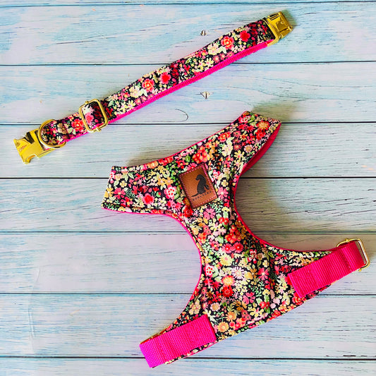 Conjunto Night Flower para perros y gatos Arnes+Collar