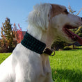 Cargar la imagen en la vista de la galería, GREEN WOOL collar para perro de cuero
