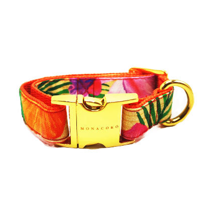 Hawaian Collar de Hebilla para perro y gato