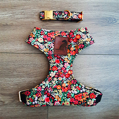 Conjunto Night Flower para perros y gatos Arnes+Collar