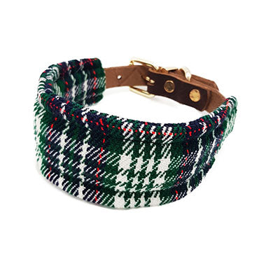 OLD GREEN WOOL para perro de cuero