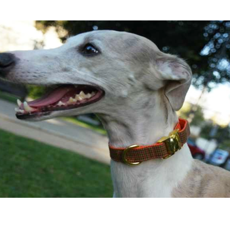 Tobacco collar de hebilla para perros y gatos