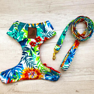 Conjunto Tropical para perros y gatos Arnes+Correa